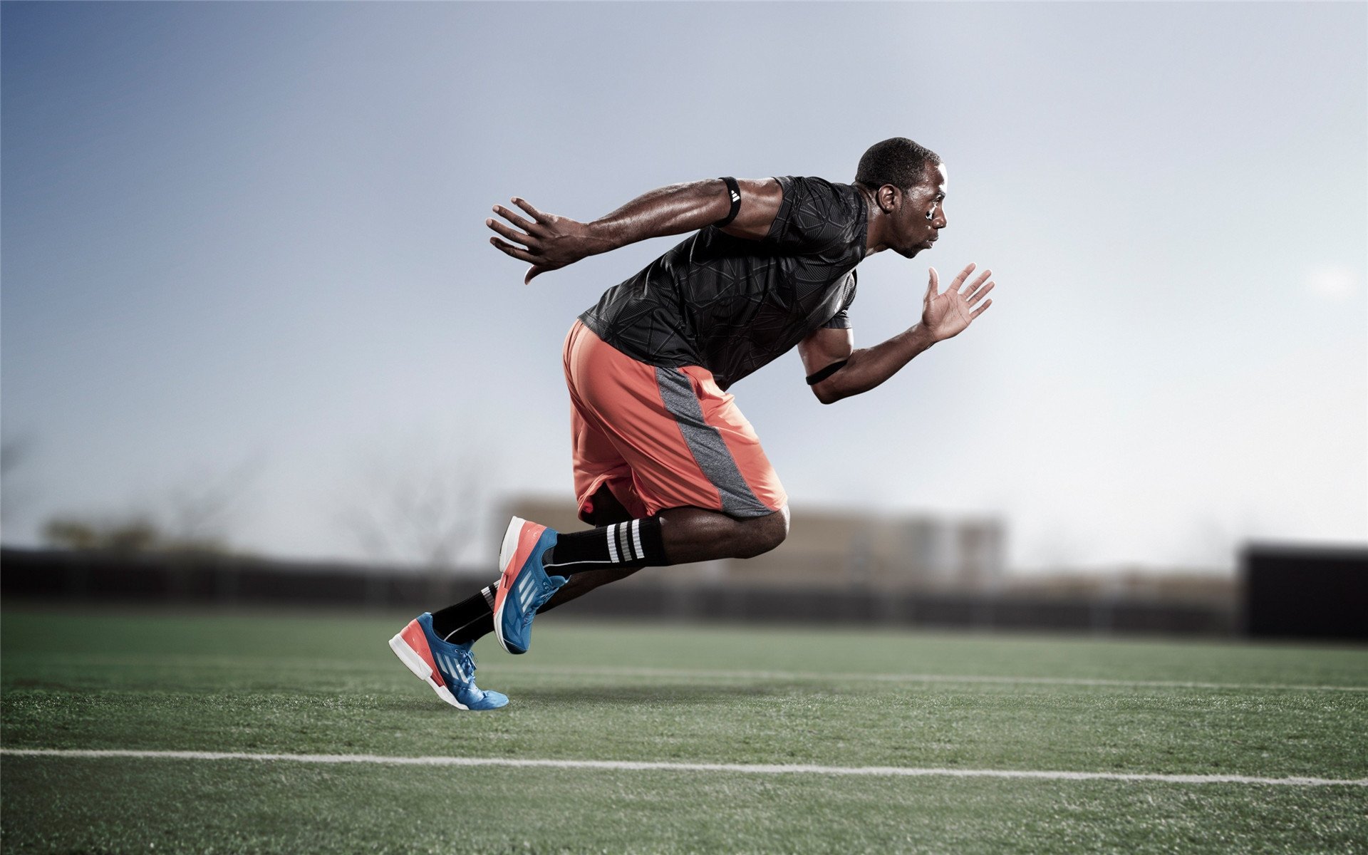 “全球数据整合平台推动棒球竞技水平跃升——行业创新的最新实践”