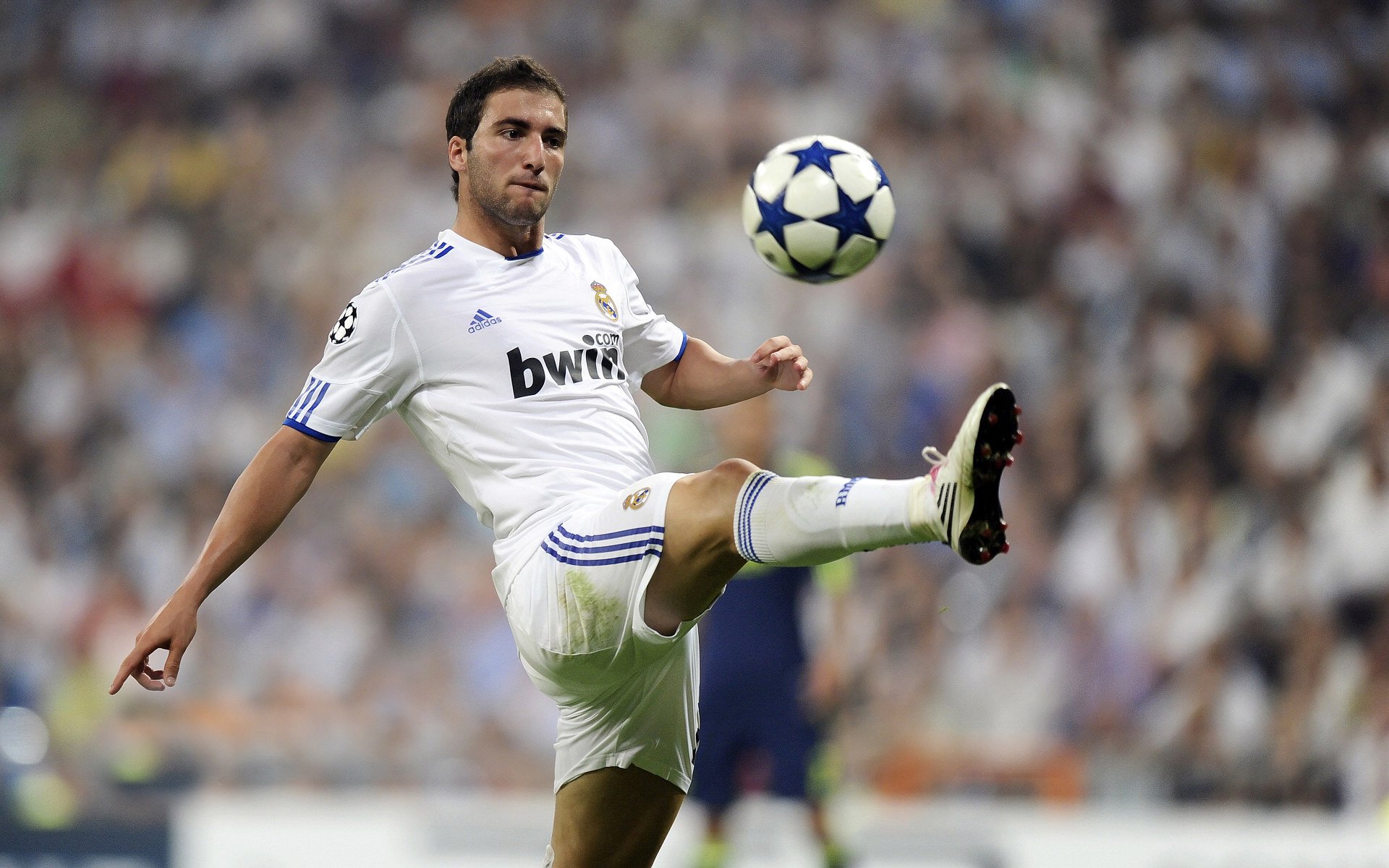 赛事资料库：历史上的经典冠军战役，历史总冠军